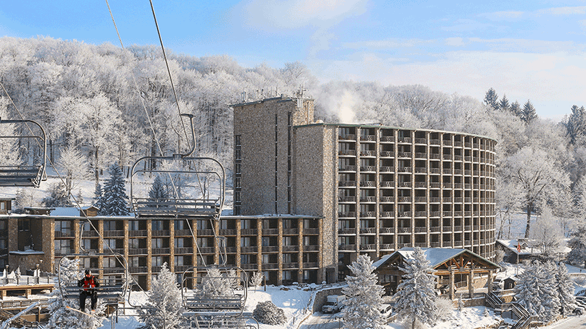 2024 Cyber Sale Digital Image